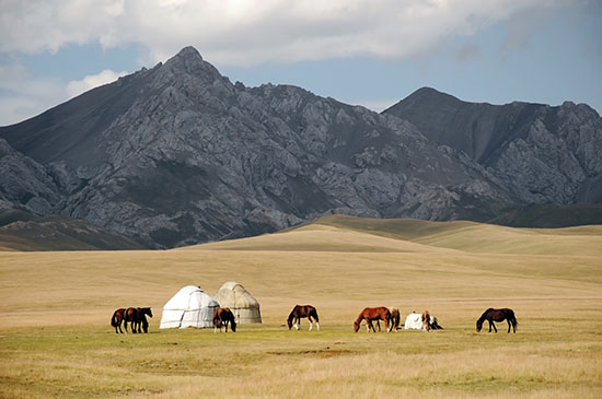 País por país - Kirguistán - Situación sanitaria